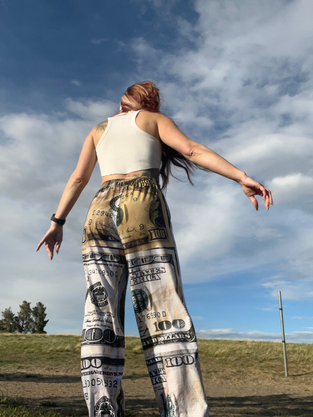 Benjamins Old 2 New All-over print unisex wide-leg pants