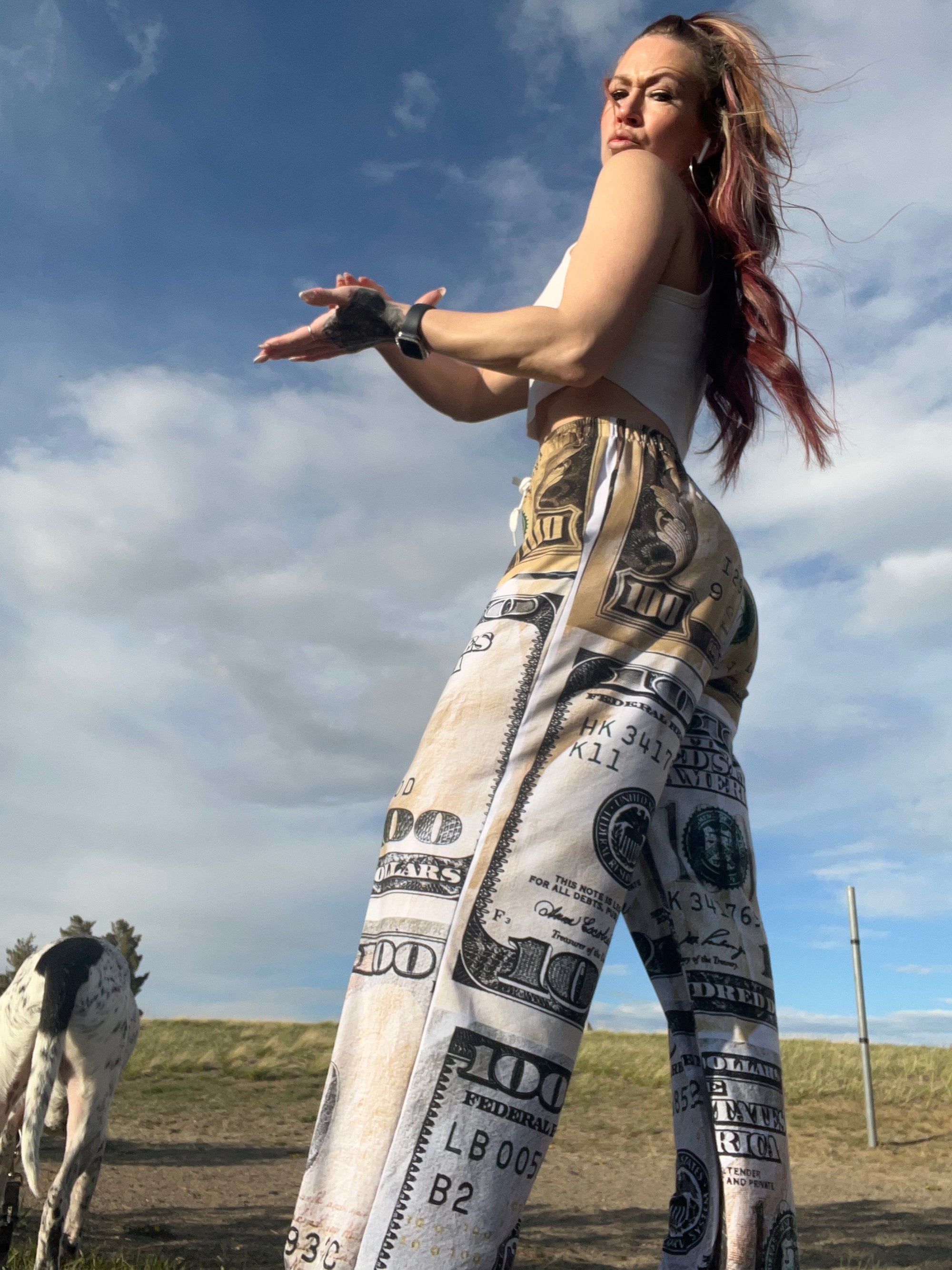 Benjamins Old 2 New All-over print unisex wide-leg pants